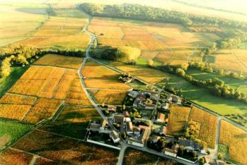 Vignoble Beaujolais Mâcon