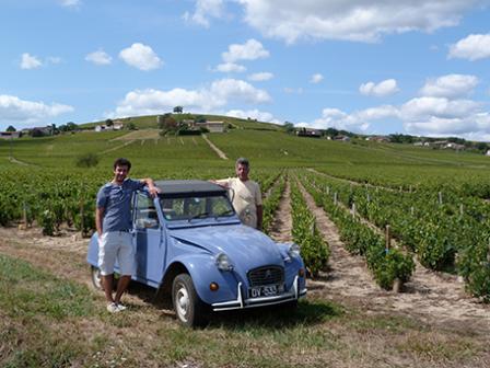 Vignoble Mâcon, Villié-Morgon